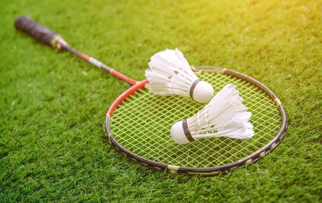 从法律到伦 从法律到伦